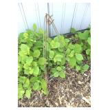 Plant Stand Set (Lot of 3)