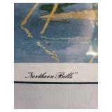 Framed Northern Bills Duck Print 26 X 21
