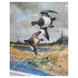 Framed Northern Bills Duck Print 26 X 21