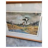 Framed Northern Bills Duck Print 26 X 21