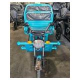 Unused 2026 Onshine Electric Cargo Tricycle OSECT-13