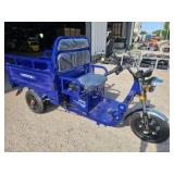 Unused 2026 Onshine Electric Cargo Tricycle OSECT-13