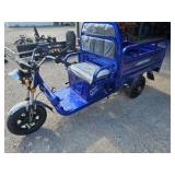 Unused 2026 Onshine Electric Cargo Tricycle OSECT-13