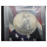 1924 Silver Peace Dollar