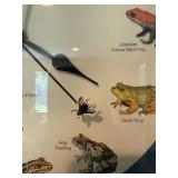Discovery Channel New World Frogs Wall Clock