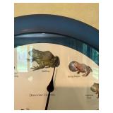 Discovery Channel New World Frogs Wall Clock