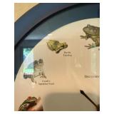 Discovery Channel New World Frogs Wall Clock