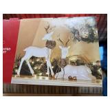 Holiday 2 Pc Hand Painted Reindeer Set White Gold Boxed Decor