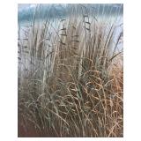 Signed Raymond Coastal Painting Framed 29 X 25