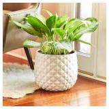 Pineapple Planter 14 qt Resin White (Pack of 4)