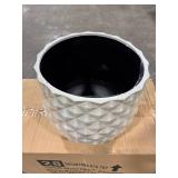 Pineapple Planter 14 qt Resin White (Pack of 4)