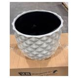 Pineapple Planter 14 qt Resin White (Pack of 4)