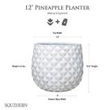 Pineapple Planter 14 qt Resin White (Pack of 4)