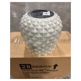 Pineapple Planter 14 qt Resin White (Pack 4)