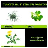 Ortho GroundClear Weed and Grass Killer RTU Liquid 1 gal (lot of 4 gallons)