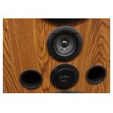 Pioneer Stereo System with Cabinet and Speakers