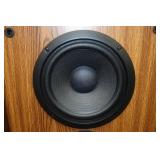 Pioneer Stereo System with Cabinet and Speakers