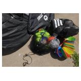 Portable Soccer Nets, Balls, Adidas Ball Bag, and Training Cones
