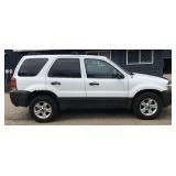 2007 Ford Escape XLT FWD