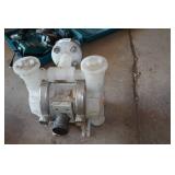 Wilden Diaphragm Pump