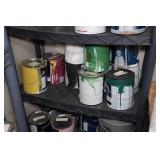 Shelves and Contents - Paint, Cleaners