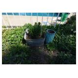 Assorted Planters