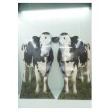 2 Holstien cut outs