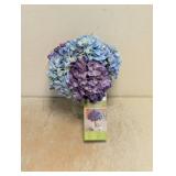 NEW NEARLY NATURAL BLUE HYDRANGEA ARRANGEMENT