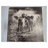 Cute Piggy Posters