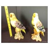 Italian Parrot Pair