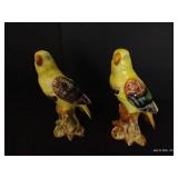 Italian Parrot Pair