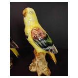 Italian Parrot Pair