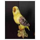Italian Parrot Pair