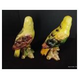 Italian Parrot Pair