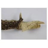 Deer Antlers and Hide