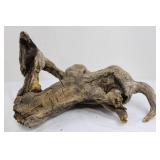 Natural Driftwood Root Sculpture
