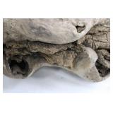 Natural Driftwood Root Sculpture