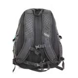 JanSport Agave 32 Backpack