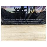 10 Paper Lanterns - Variety of Colors - Brand New