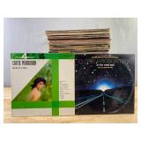 100+ Vinyl LP Album Collection - Steve Miller Band, Henry Mancini, Neil Diamond, Nat King Cole, The Beach Boys, Bee Gees, The Kingsmen *C