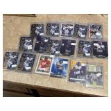 Minnesota Vikings Lot, Cordarrelle Patterson and Greg Jennings