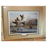 Framed & Signed 1982 Minnesota Waterfowl Stamp Print "Canvasbacks" by David A. Maass