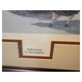 Paul Bridgford Signed & Numbered “Ruffed Grouse” Wildlife Print Framed Under Glass