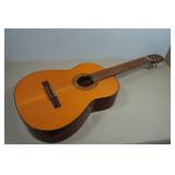 Acoustic Guitar