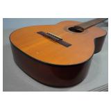 Acoustic Guitar