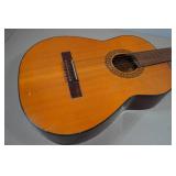 Acoustic Guitar
