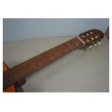 Acoustic Guitar