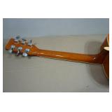 Spectrum Acoustic Guitar and Gig Bag