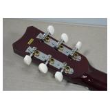 Honer HW200 Acoustic Guitar and  Case