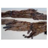 Vintage Animal Pelts
